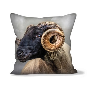 Soft Filled Cushion | Linen, Faux Suede, Canvas | Rambo