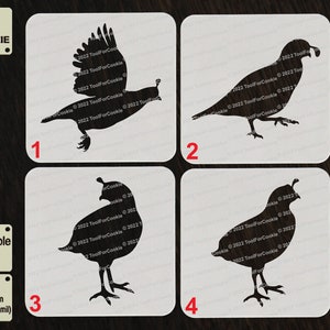 Quail Bird Stencil
