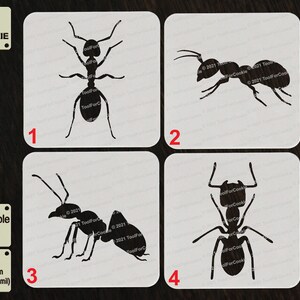 Ant Stencil, Insect Stencil