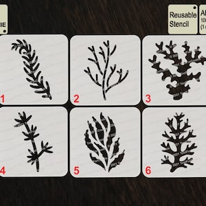Può includere: Sei stencil riutilizzabili per decorare i biscotti. Gli stencil sono realizzati in plastica APET da 1000 micron e hanno uno spessore di 1 mm. Gli stencil presentano vari disegni di alghe e alghe marine.