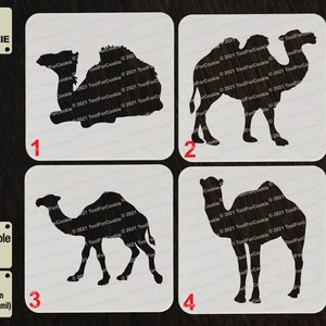 Stencil cammello del deserto