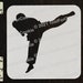 Karate Player Stencil Karate Stencil Custom Stencil Any - Etsy