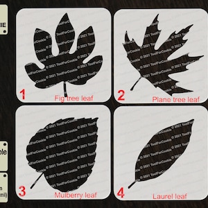 May include: Four reusable stencils for cookie decorating, each featuring a different leaf shape: fig, plane tree, mulberry, and laurel. The stencils are made of 1000 micron APET plastic, which is 1 mm thick.