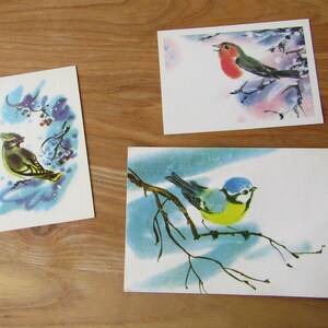 Lot de 3 cartes de Noël - oiseaux d'hiver - Nouvel An - Décoration de Noël - Carte de voeux de Noël - Cartes postales anciennes