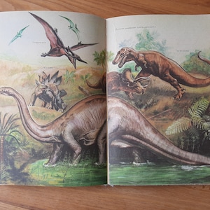 Vintage zoology book - Animals book - Illustrated book - Hunting Animals Birds book - Reading book on zoology - Whales, snakes, insects