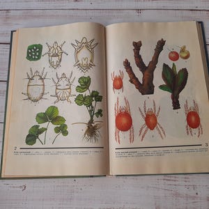 Ukrainian vintage botanical book - 100+ botanical illustrations - fertilizer and plant protection - nature book