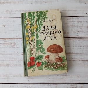 60s Mushrooms and berries illustrations on vintage botany book - Botanical book with color drawings - Wall art decor with botanical pictures