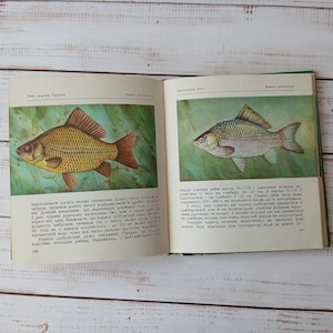 Fish of Ukrainian reservoirs in vintage book with colored Illustrations - Reference illustrated book - Animals wall art decor