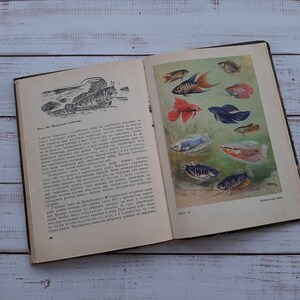 Ukrainian vintage fish book - Sea fish - Exotic Ttropical fish - Fish Illustrations - Reference Book - illustrated book - Animals