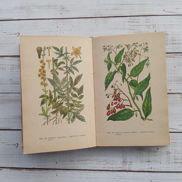 Vintage Medicinal Plant Book – 1970s Color Botanical Illustrations