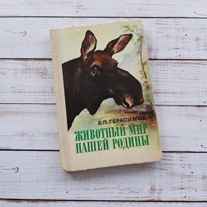 Vintage book about animals - Illustrated book &quot; The fauna of our homeland &quot; - Reading book on zoology - Animals book - Wall decor