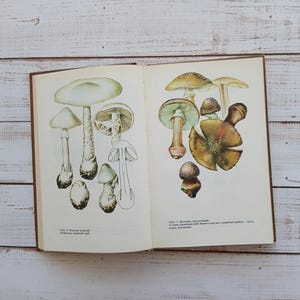 May include: An open book displaying detailed botanical illustrations of various mushrooms on both pages. The left page features white and pale green fungi, while the right page shows brown and tan mushrooms. Cyrillic text appears below each group.