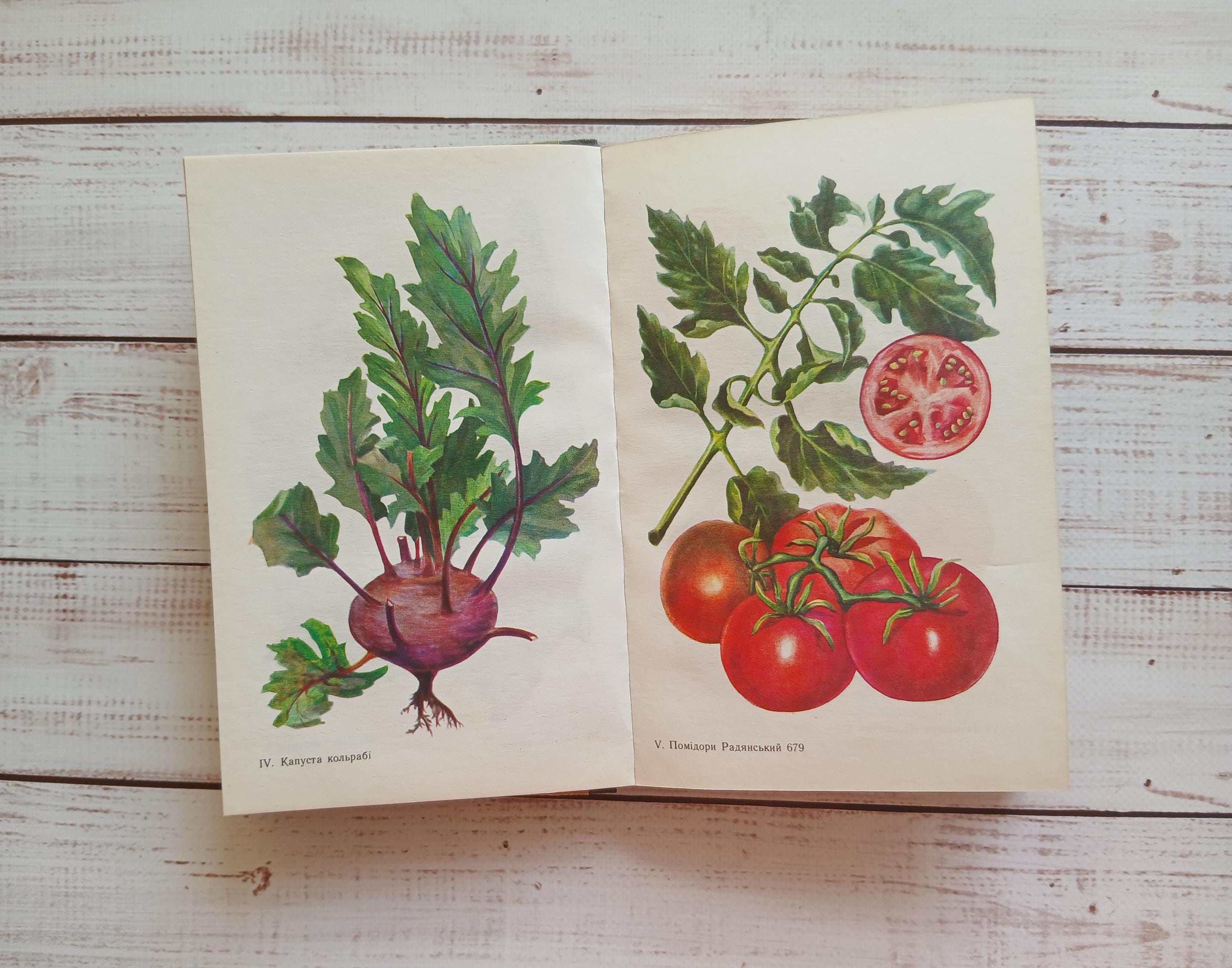 Ukrainian vintage botanical book - Vegetable grower's handbook - Many botanical illustrations - Botany \ nature book