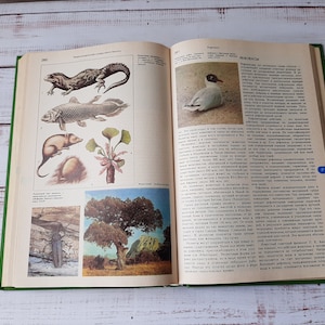 Encyclopedic Dictionary of a Young Biologist vintage book with many color and black and white illustrations - Botanical book illustrations