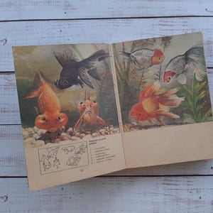 水槽の魚に関するヴィンテージ本 - ヴィンテージ本 - 魚のイラスト - 参考書 - 図解本 - 動物