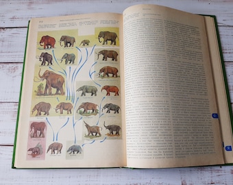 Vintage Biologie-Wörterbuch: Natur Illustrationen, 1986