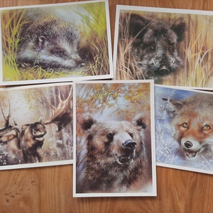 Ensemble de 5 cartes postales vintage animaux dessinés - guide nature - cartes postales non utilisées - illustration de renard, hérisson, orignal, sanglier, ours - impression URSS