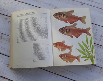 Nachschlagewerk „Tropische Fische im Aquarium“ – Vintage-Buch für Aquarienfische mit farbig bemalten Illustrationen – Bildband – Tiere