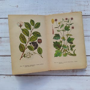 Vintage boek over medicinale planten – botanische illustraties in kleur uit de jaren 70
