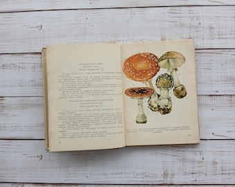Vintage Mushroom Illustrated Book: 1973 Botanical Guide