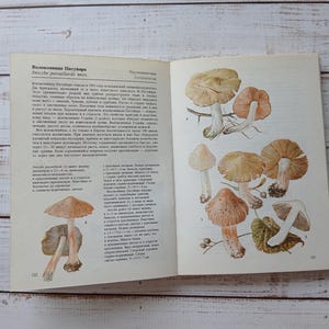 Illustriertes Pilzbuch mit 100+ farbigen Abbildungen - Vintage botanisches Buch - Naturgeschichte der Pilze