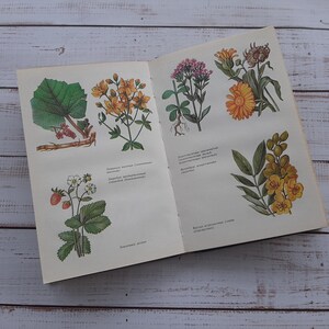 May include: An open book featuring botanical illustrations of various plants and flowers, including strawberries, yellow blossoms, and orange marigolds. The pages contain detailed colored drawings of flora with accompanying text in a Cyrillic script.