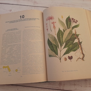Vintage botanical book with more 100 beautiful color drawings of medicinal plants - Wild forest herbs prints - Plants \ flowers Illustration