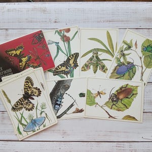 Postcards with butterflies, beetles \ bugs, insects set of 16 - Painted butterflies decor - Butterflies watercolor - Vintage postcards