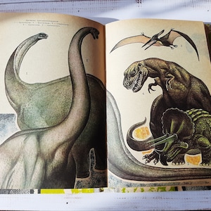Animals book - Vintage Illustrated book - Hunting Animals Birds book - Reading book on zoology - Whales, snakes, insects - Entomology book