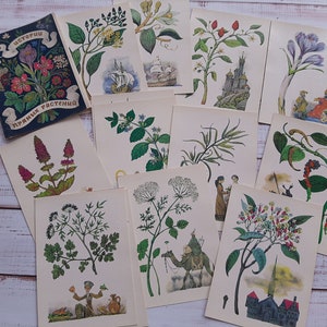 Set di 16 cartoline botaniche d'epoca - Piante speziate \ Illustrazione di fiori - Stampa artistica di piante medicinali - Set di cartoline botaniche