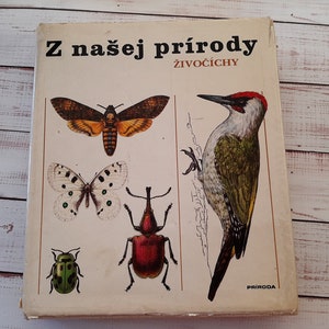 130+ vintage large-format color illustrations of animals, insects, fish, birds on book about animals &quot; From our nature &quot; - Illustrated book