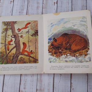 Vintage Illustrated Children&#39;s Book: Animals Preparing for Winter, 1988