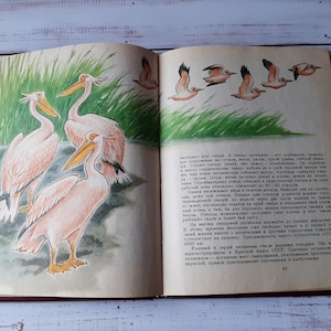 Old book about animals &quot; About rare animals of the world &quot;- Vintage animals book - Vintage Illustrated book - elephants, lion, bison