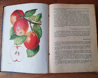 Livre botanique vintage "Conseils aux jardiniers et aux vignerons" - Beaux dessins en couleur et en noir et blanc de fruits et de baies
