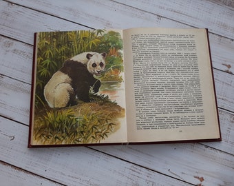 Vecchio libro sugli animali "Sugli animali rari del mondo" - Libro sugli animali vintage - Libro illustrato vintage - elefanti, leoni, bisonti