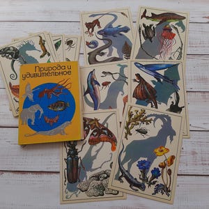 Lot de 16 cartes postales vintage ukrainiennes Nature et merveilles, animaux et poissons - Cartes postales couleur - Cartes postales plantes - Art mural déco animaux