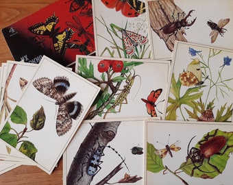 Ansichtkaarten vlinders, kevers, insecten set van 16 - geschilderde vlinders - vlinders decor - vlinders aquarel - Vintage briefkaart