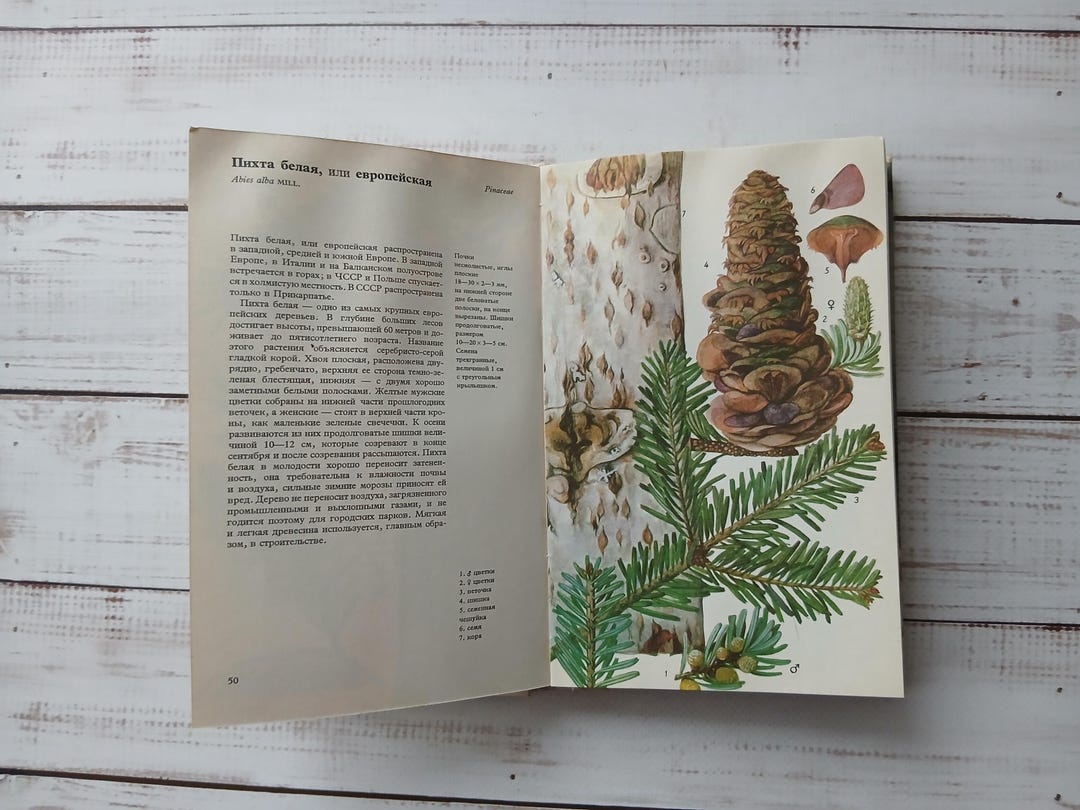 Vintage Botanical Book With Many Color Plant Illustrations - Medicinal ...