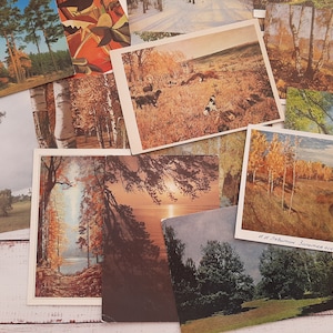 Set di 17 cartoline d'epoca con paesaggi autunnali e invernali - Riproduzioni di dipinti di artisti sovietici ed europei - Foresta, fiori, cani
