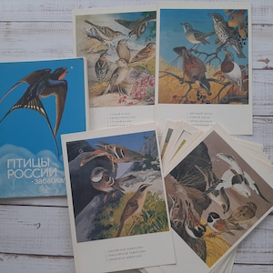Set de 32 postales vintage de aves - Atlas de ornitología con ilustraciones - Lámina vintage de aves - Postales botánicas - Guía de aves