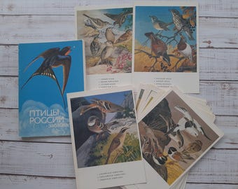 Vintage Bird Postcard Set: 1983 USSR Ornithology Art, Collectible