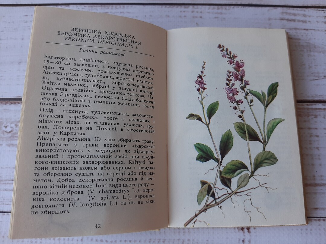 Botanical Key Book Vintage Botanical Pocket Book With Color Drawings Forest Herbaceous ...