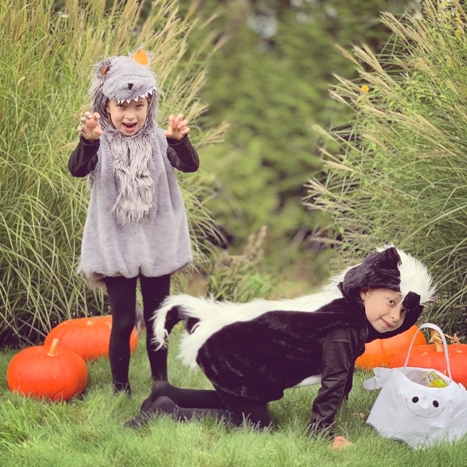 Big Bad Wolf Costume Halloween Costume for Kids Sizes Baby Etsy