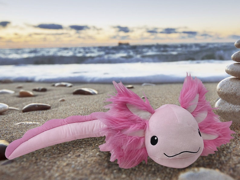 Adorable peluche de axolotl ponderado de 4 libras: 30 pulgadas de largo, realista, ponderado y rosa Compañero perfecto y abrazable de Stuffie imagen 2