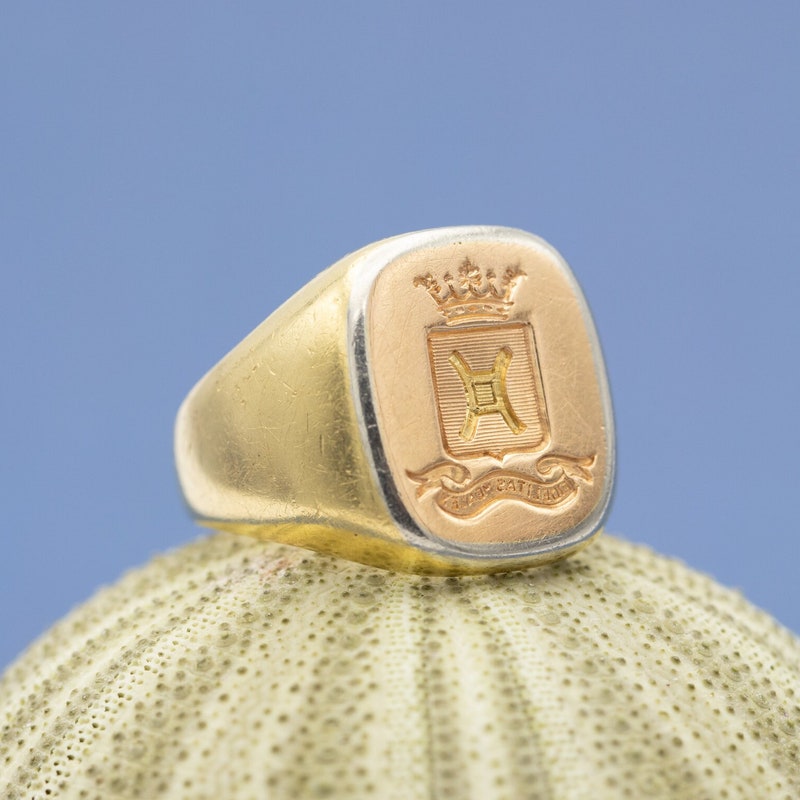 Large Signet Ring - Etsy