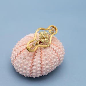 Puede incluir: Un broche dorado con un dise&ntilde;o floral y peque&ntilde;os detalles de perlas descansa sobre un erizo de mar rosa. El broche presenta una flor central y un marco calado ornamentado. El fondo es azul claro.
