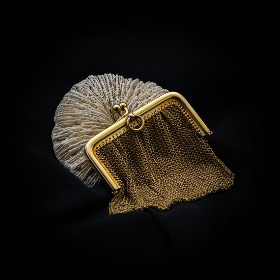 Antique Gold Mesh Purse Glamorous and Rare Purse Coin Purse in 18 Ct Yellow Gold French Gold Bag Rare Antique Jewel Etsy Ireland