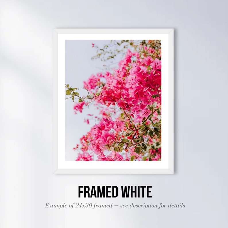 May include: A framed print of a close-up of pink bougainvillea flowers against a light blue sky. The flowers are in full bloom and create a vibrant and colorful image. "FRAMED WHITE" and "Example of 24x30 framed - see description for details" are printed below the image.