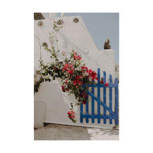 Bougainvillea Photo Print Pink Floral Wall Art Santorini Greece Print Pink Flower Wall Decor Canvas Large Wall Art Greek Island Gift For Her