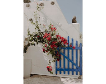 Bougainvillea Photo Print Pink Floral Wall Art Santorini Greece Print Pink Flower Wall Decor Canvas Large Wall Art Greek Island Gift For Her